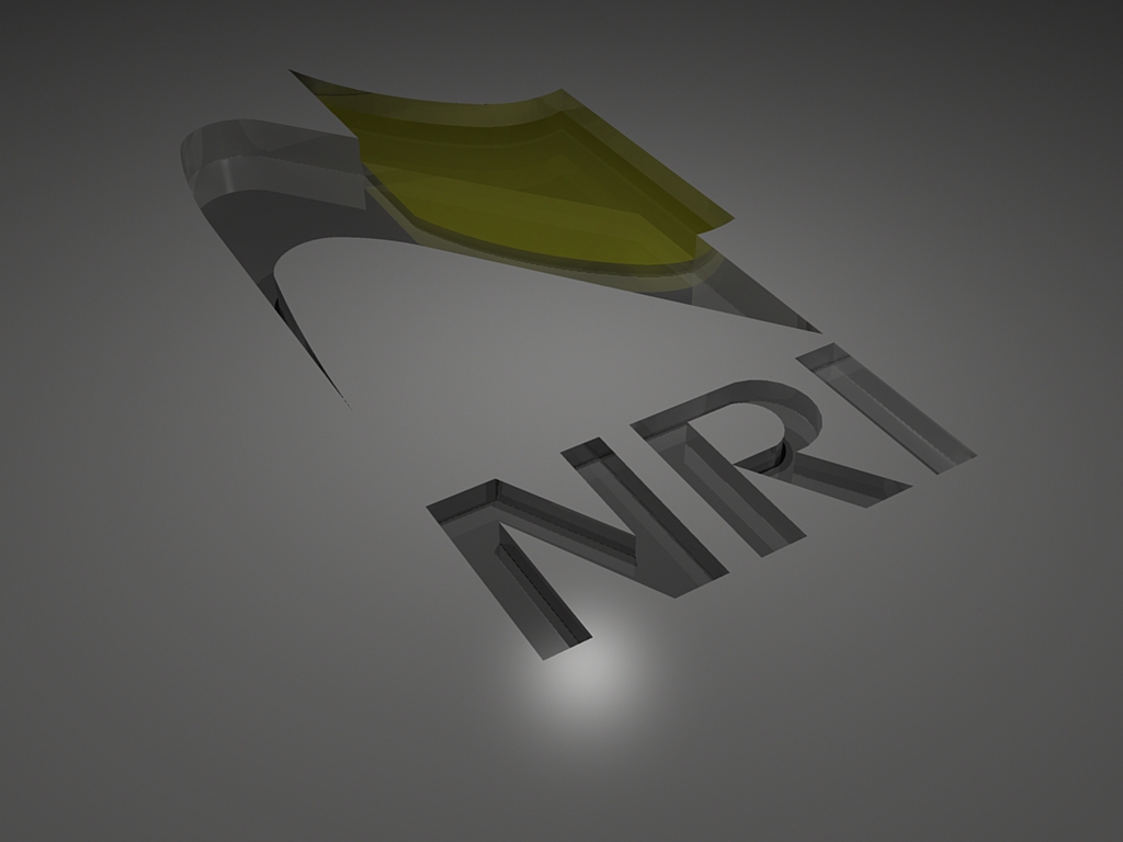 NRI Logo 1